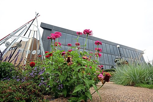 14082026
Flowers outside Brandon City Hall on a rainy Friday.
(Tim Smith/The Brandon Sun)
