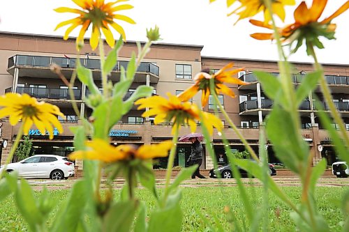 14082026
A pedestrian is framed by flowers at Brandon City Hall on a rainy Friday. 
(Tim Smith/The Brandon Sun)