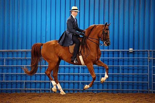 14082026
Seventeen-year-old Taylor Vonderahe of Buckley Washington practices with his half Arabian Eros Better Behold prior to competing in the country english pleasure junior owner to ride category at the Canada's National Arabian Championship at the Keystone Centre on Friday. Vonderahe trains his own horses and has been doing so for three years. The Arabian show wraps up today. (Tim Smith/The Brandon Sun)
