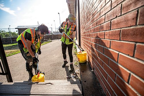 MIKAELA MACKENZIE / FREE PRESS
	
City crew members Alex Cloney (left) and Tee Silver clean up needles and other hazardous materials at Freight House park on Thursday, Aug. 13, 2026.

For Malak story.
Free Press 2026
