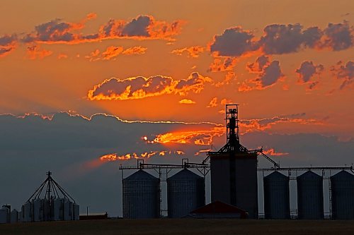 17082026
The sun rises through a bank of clouds in the east behind the Richardson Pioneer grain terminal in Kemnay on Monday morning.
(Tim Smith/The Brandon Sun)