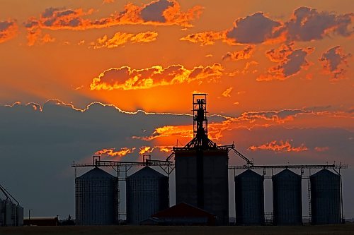 17082026
The sun rises through a bank of clouds in the east behind the Richardson Pioneer grain terminal in Kemnay on Monday morning.
(Tim Smith/The Brandon Sun)