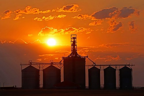 17082026
The sun rises through a bank of clouds in the east behind the Richardson Pioneer grain terminal in Kemnay on Monday morning.
(Tim Smith/The Brandon Sun)