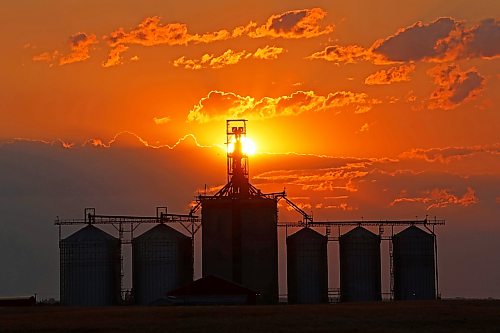 17082026
The sun rises through a bank of clouds in the east behind the Richardson Pioneer grain terminal in Kemnay on Monday morning.
(Tim Smith/The Brandon Sun)