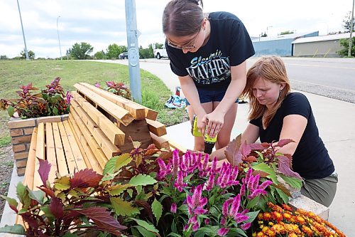 17082026
Architecture student Rebecca Grant and landscape architecture student Anastasia Zonenberg, both with the University of Manitoba, install a bench as part of their Downtown Outdoor Art Grant creation Station Bloom along Pacific Avenue in Brandon just west of First Street on Monday. The fourth year architecture students applied for the grant earlier this year and their project was chosen as one of several successful downtown arts projects being created this summer. The project is funded by the City of Brandon, Brandon Downtown BIZ and the Brandon Area Community Foundation. The bench and adjacent planters are meant to vaguely resemble the look of a train, as homage to the train yard directly behind the site of the installation. The brick flower bed on the left side of the bench also slopes, pointing towards Brandon’s downtown business district. 
(Tim Smith/The Brandon Sun)