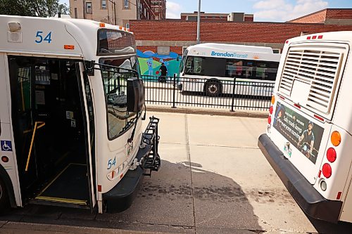 Transit buses stop at the Brandon Transit Downtown Terminal on Tuesday. (Tim Smith/The Brandon Sun)