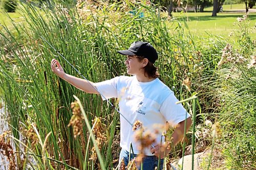 18082026
Rylee Guimond fishes from the bank of Plum Creek in Souris, Manitoba on Tuesday while visiting the westman community with family.
(Tim Smith/The Brandon Sun)