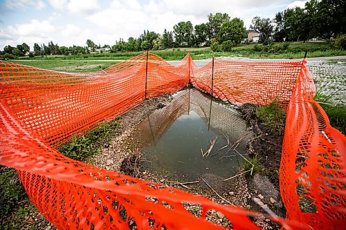 MIKAELA MACKENZIE / FREE PRESS
	
A hole, surrounded by orange fencing, which has been there since 2023 at Sturgeon Creek on Thursday, Aug. 20, 2026.

For Malak story.
Free Press 2026