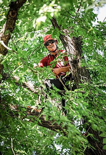 JOHN WOODS / FREE PRESS
Jordan Dyck competes in the Masters’ Challenge at the prairie chapter of the International Society of Arboriculture  Sunday, August 23, 2026 in Kildonan Park. Participants are competing to attend the World Championships in Belgium.

reporter: standup