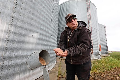 Ruth Bonneville / Free Press 

49.8 - farm checkup

Photo of Chuck Fossey annualizing the condition of his  crops  on his  farm near Starbuck Manitoba. 

What: This is for a cross-Manitoba farm check-up story. We're visiting/calling a handful of farmers to talk about how they've coped with a topsy-turvy year, focusing on the impacts of drought and wildfires, tariffs and the lifting of the carbon tax under a new government. 


Oct 17, 2025
