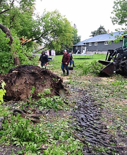 The path of damage through Michelle Martens' backyard where trees and power lines were damaged by a late-season tornado in Elkhorn. (Rylee Gerrard/The Brandon Sun)