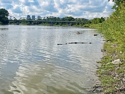 Photo of the Riverbank looking towards the Redwood Bridge near St. John’s Park.  Note, this isn’t yet known to be the exact location where the rescue occurred, but the general area Along the riverbank near the park. (Ruth Bonneville / Free Press)
