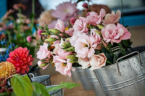 JOHN WOODS / FREE PRESS
Magwyer Herring, who sells her flowers from a 1958 Chevy Apache at markets, was out selling her goods on Corydon Sunday, September 6, 2026.

reporter: dave