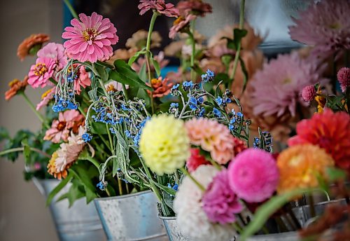 JOHN WOODS / FREE PRESS
Magwyer Herring, who sells her flowers from a 1958 Chevy Apache at markets, was out selling her goods on Corydon Sunday, September 6, 2026.

reporter: dave