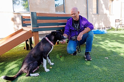 MIKE DEAL / FREE PRESS
Tim Campbell with 2-yr-old Moira Rose at the WHS Tuesday morning.
In the very same month Tim Campbell retired from his full-time job he started to volunteer at the WHS. The dog lover is at the centre twice a week in his role as Canine Contenment Officer, a job he thoroughly enjoys.
Reporter: AV Kitching
260908 - Tuesday, September 08, 2026.