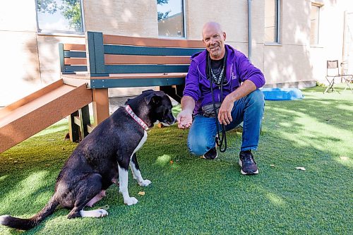 MIKE DEAL / FREE PRESS
Tim Campbell with 2-yr-old Moira Rose at the WHS Tuesday morning.
In the very same month Tim Campbell retired from his full-time job he started to volunteer at the WHS. The dog lover is at the centre twice a week in his role as Canine Contenment Officer, a job he thoroughly enjoys.
Reporter: AV Kitching
260908 - Tuesday, September 08, 2026.
