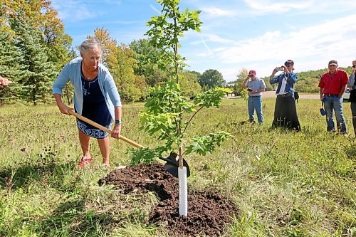 Lisa Kudelka, the president of the International Peace Garden board of directors, shovels dirt onto the first of 15 Canadian maple trees planted at the garden on Friday afternoon after the ceremony. The trees are part of a gift of 250 maple trees given to the United States on July 4 by Prime Minister Mark Carney as a special birthday present for the country’s 250th anniversary. Several of the trees were planted in Washington, D.C., with the remaining trees planted across the 13 U.S. states that share an international border with Canada. (Matt Goerzen/The Brandon Sun)