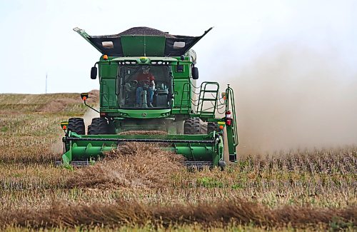 A combine operator harvests canola in a field north of Boissevain on Friday afternoon. (Matt Goerzen/The Brandon Sun)
