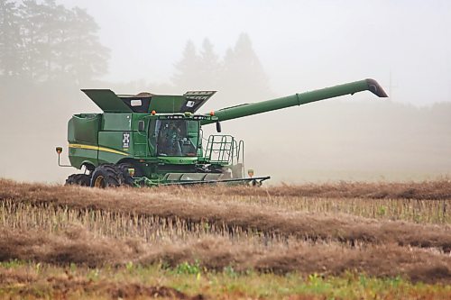 A combine operator harvests canola in a field north of Boissevain on Friday afternoon. (Matt Goerzen/The Brandon Sun)