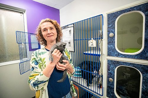 MIKAELA MACKENZIE / FREE PRESS
	
Chris Von Schindler, Winnipeg Humane Society CEO, with approximately 11-week-old kitten Ernie on Tuesday, Sept. 15, 2026.

For Janine 49.8 story.
Free Press 2026