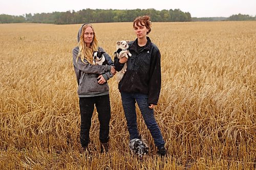 16092026
Farmers and sisters Cassandra and Stefanie Lepp with their dogs Myles, Violet and Wiley in front of the wheat they have left to combine at their farm northwest of Rivers on Wednesday. The wet weather is having a major impact on farmers trying to get their crops off their fields. The Lepp’s have 200 acres of wheat and 1300 acres of canola left to harvest.
(Tim Smith/The Brandon Sun)