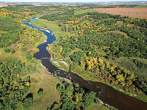 21092026
Fall colours adorn foliage on trees along the Little Saskatchewan River west of Brandon on a sunny Monday. Today marks the first day of fall with the autumnal equinox, when night and day are close to equal in length. 
(Tim Smith/The Brandon Sun)