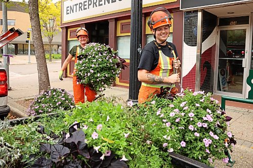 Labourer Elena Roberts and lead horticulturalist Abigail Phipps with the City of Brandon remove hanging baskets from lampposts along Rosser Avenue in Brandon for winter storage on Wednesday. The city has about 250 hanging baskets throughout Brandon. (Tim Smith/The Brandon Sun)