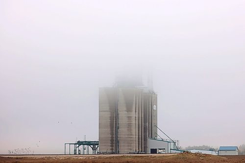 24092026
Fog hangs over the Bunge grain terminal north of Forrest, Manitoba long Highway 10 on a misty Thursday morning.
(Tim Smith/The Brandon Sun)