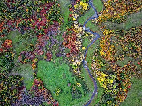 26092026
Fall colours light up the Minnewasta Creek valley south of Birdtail Sioux First Nation on a cool fall Saturday afternoon.
(Tim Smith/The Brandon Sun)