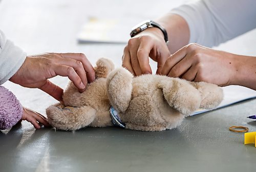 JOHN WOODS / FREE PRESS
A teddy gets some treatment during Teddy Bear Picnic at Assiniboine Park in Winnipeg, Sunday, September 27, 2026.
reporter: standup