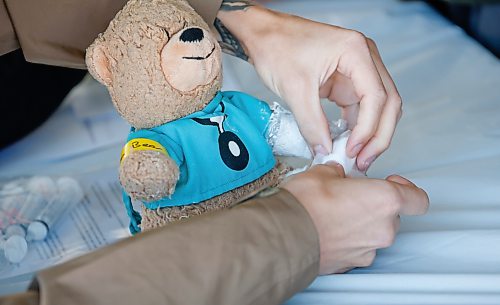 JOHN WOODS / FREE PRESS
A teddy gets some treatment during Teddy Bear Picnic at Assiniboine Park in Winnipeg, Sunday, September 27, 2026.
reporter: standup