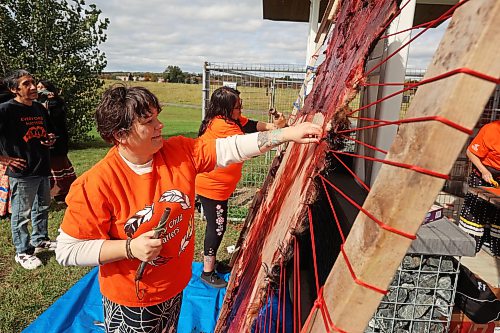 Delsie Martin, an instructor in Assiniboine College’s social service work program, works to flesh an elk hide on the first day of Truth and Reconciliation Week 2026 events at the Brandon Riverbank Discovery Centre grounds on Monday. The hide will be used as part of an ongoing Brandon Friendship Centre Reconnections to OUR Culture project. (Tim Smith/The Brandon Sun)