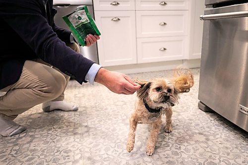 MIKAELA MACKENZIE / FREE PRESS
Scott Gillingham gives Louie his weekly greenie on Saturday, Sept. 26, 2026.
For Malak day-in-the-life story.
Free Press 2026