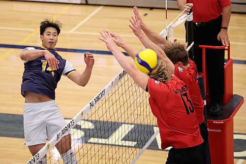 Samuel Chen of the Brandon Bobcats leaps to put the ball over the net during a match against the University of Winnipeg Wesmen at the Brandon University Healthy Living Centre on Friday afternoon. He had 10 kills in the game.
(Tim Smith/The Brandon Sun)