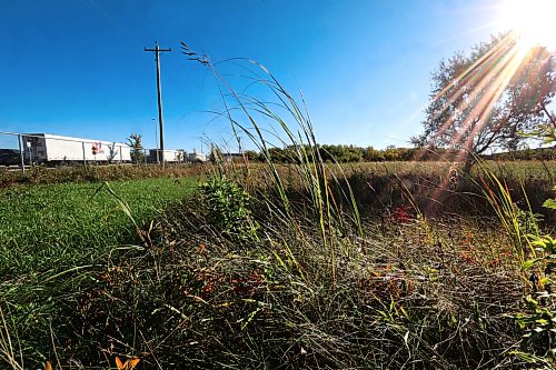 Ruth Bonneville / Free Press
LOCAL - Rotary Tall Grass Nature Park
Photo of Rotary Tall Grass Nature Park, a long strip of treed pathways and tall grass between commercial properties near 1001 Regent Ave W.
Patricia Dutchak a member of the Rotary Club, described to reporter areas in the park that damage was caused due to the misuse use of land while commercial development took place in the area.
Story: Patricia Dutchak is a member of the Rotary Club of Winnipeg-Transcona. She’s been documenting the significant damage to the Rotary Tall Grass Nature Park in Transcona caused during the relocation of a fence between the park and the Amazon fulfillment centre next door. Large swaths of grass and foliage in the protected nature preserve were trampled by heavy equipment in August. The city is apparently seeking damages.
Eva Wasney
Oct 1st, 2026