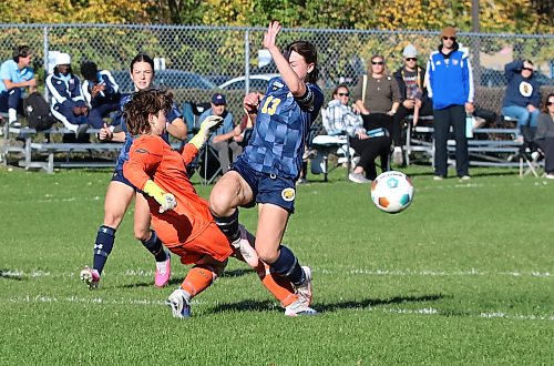 Jorja Hoad (13) of the Brandon University Bobcats shields her face as Canadian Mennonite University Blazers keeper Mack Robillard (18) comes out to play the ball under the watchful eye of Kaylee Dittmer (15) in the background during Manitoba Colleges Athletic Conference women's soccer action at the Healthy Living Centre pitch on Saturday afternoon. (Perry Bergson/The Brandon Sun)
Oct. 3, 2026