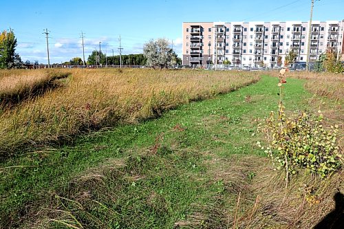 Ruth Bonneville / Free Press
LOCAL - Rotary Tall Grass Nature Park
Photo of Rotary Tall Grass Nature Park, a long strip of treed pathways and tall grass between commercial properties near 1001 Regent Ave W.
Patricia Dutchak a member of the Rotary Club, described to reporter areas in the park that damage was caused due to the misuse use of land while commercial development took place in the area.
Story: Patricia Dutchak is a member of the Rotary Club of Winnipeg-Transcona. She’s been documenting the significant damage to the Rotary Tall Grass Nature Park in Transcona caused during the relocation of a fence between the park and the Amazon fulfillment centre next door. Large swaths of grass and foliage in the protected nature preserve were trampled by heavy equipment in August. The city is apparently seeking damages.
Eva Wasney
Oct 1st, 2026