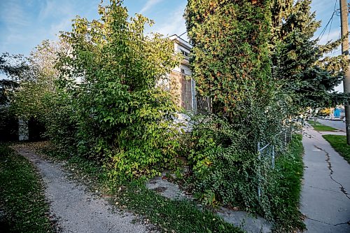 JOHN WOODS / FREE PRESS
 An overgrown boarded up house on Magnus in the William Whyte neighbourhood in Winnipeg, Monday, October 5, 2026. 

reporter: Julie