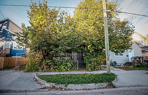JOHN WOODS / FREE PRESS
 An overgrown boarded up house on Magnus in the William Whyte neighbourhood in Winnipeg, Monday, October 5, 2026. 

reporter: Julie