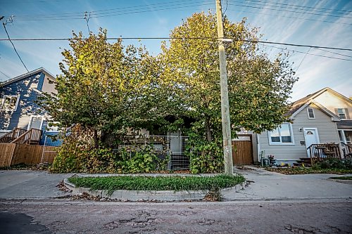 JOHN WOODS / FREE PRESS
An overgrown boarded up house on Magnus in the William Whyte neighbourhood in Winnipeg, Monday, October 5, 2026.
reporter: Julie