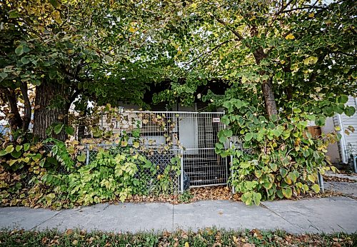 JOHN WOODS / FREE PRESS
An overgrown boarded up house on Magnus in the William Whyte neighbourhood in Winnipeg, Monday, October 5, 2026.
reporter: Julie