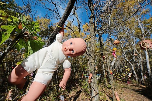 A doll hangs in the haunted forest. (Connor McDowell/The Brandon Sun)