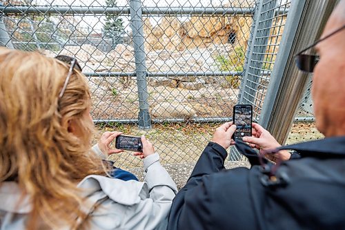 MIKE DEAL / FREE PRESS
Nicole Oakes (left) and Rick Hein (right) take the opportunity to grab photos of the orphaned polar bear cub.
The latest addition to the polar bear family at the Assiniboine Park Conservancy can now be visited at the Zoo’s Leatherdale International Polar Bear Conservation Centre. The yet to be named orphaned polar bear cub arrived at the Zoo from Churchill in August.
After consultation with students from the Duke of Marlborough School in Churchill, a shortlist of names have been selected that the public can now vote for by going to the website: www.assiniboinepark.ca/polarbearname.
The four names to choose from are:
* Duke: Honours Duke of Marlborough School, a source of pride for the students.
* Marly: Like Duke, this name honours the school and its students.
* Fletcher: In honour of Fletcher Lake, a subarctic lake located in Wapusk National Park.
* Mantayo: Represents the Cree name for a large river in Churchill, River of Strangers
261008 - Thursday, October 08, 2026.
