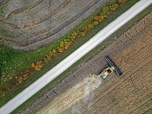 A combine with De Koning Farms harvests canola north of Mountain Road and west of Highway 5 on a grey Thursday. The farm has approximately three days of canola harvest left and roughly two days of bean harvest. 
(Tim Smith/The Brandon Sun)