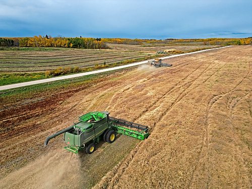 Combines from De Koning Farms harvest canola north of Mountain Road and west of Highway 5 on a grey Thursday. The farm has approximately three days of canola harvest left and roughly two days of bean harvest. 
(Tim Smith/The Brandon Sun)