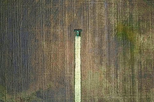 A combine with De Koning Farms harvests canola north of Mountain Road and west of Highway 5 on a grey Thursday. The farm has approximately three days of canola harvest left and roughly two days of bean harvest. 
(Tim Smith/The Brandon Sun)