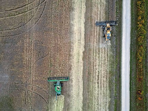Combines from De Koning Farms harvest canola north of Mountain Road and west of Highway 5 on a grey Thursday. The farm has approximately three days of canola harvest left and roughly two days of bean harvest.
(Tim Smith/The Brandon Sun)