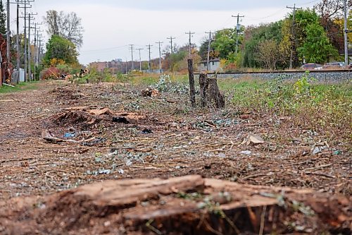 BROOK JONES/FREE PRESS
Manitoba Hydro say they had no choice but to cut down mature trees between the pathway at Elizabeth Road and the CPKC railway tracks that stretch the length of Archibald Street in Windsor Park because the trees were a hazard.