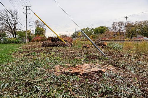 BROOK JONES/FREE PRESS
Manitoba Hydro cut down mature trees between the pathway at Elizabeth Road and the CPKC railway tracks that stretch the length of Archibald Street in Winnipeg, Man. Tree trunks, limbs, and stumps are pictured on the afternoon of Friday, Oct. 9, 2026.