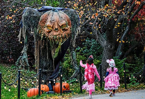 JOHN WOODS / FREE PRESS
Children walk past a monster at Boo In The Zoo at the Assiboine Zoo in Winnipeg, Sunday, October 11, 2026. 

reporter: standup